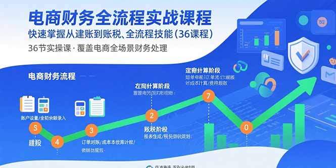 电商财务全流程实战课程：快速掌握从建账到报税的全流程技能(36节课-樱舞小站
