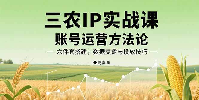 三农IP实战课：账号运营方法论，六件套搭建，数据复盘与投放技巧-樱舞小站