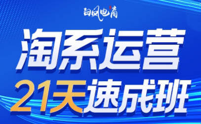 白凤电商·淘系运营21天速成班(更新8月)-樱舞小站