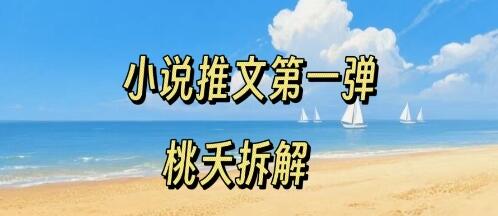 小说推文项目操作全流程第一弹，0粉就能做，门槛低非常适合新手-樱舞小站