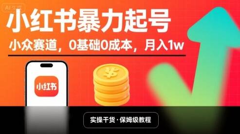 小红书暴力起号，小众赛道，0基础0成本，月入1w-樱舞小站