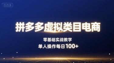 拼多多虚拟类目电商，零基础实战教学，单人操作每日100+-樱舞小站