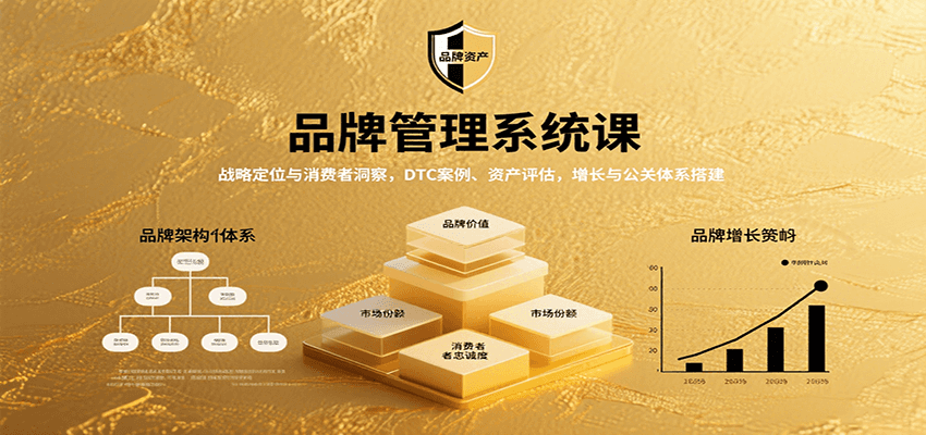 品牌管理系统课：战略定位与消费者洞察，DTC案例、资产评估，增长与公关体系搭建-樱舞小站