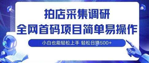 拍店采集调研，全网首码项目，简单易操作， 小白也能轻松上手，多账号操作，轻松日入5张【揭秘】-樱舞小站