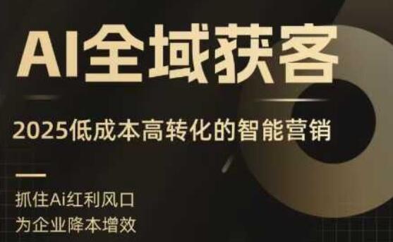 AI全域获客实训营，2025低成本高转化的智能营销，精准找客，高效营销-樱舞小站
