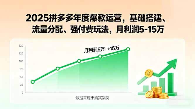 2025拼多多年度爆款运营，基础搭建、流量分配、强付费玩法，月利润5-15万-樱舞小站
