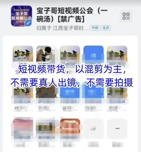 宝子哥头部团队短视频带货，以混剪为主，不需要真人出镜，不需要拍摄【更新9月】-樱舞小站
