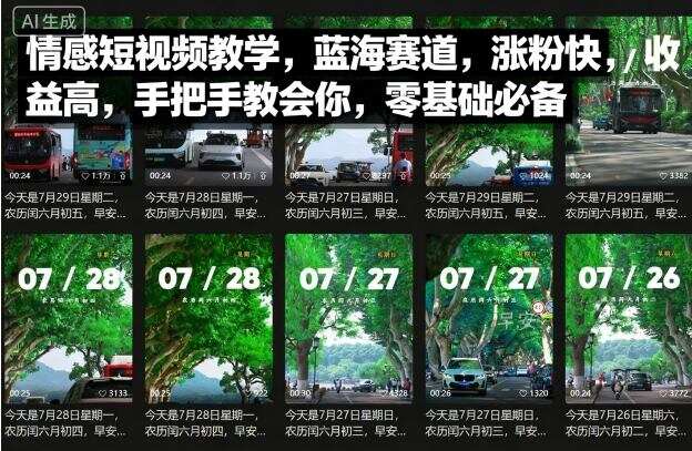 情感短视频教学，蓝海赛道，涨粉快，收益高，手把手教会你，零基础必备-樱舞小站