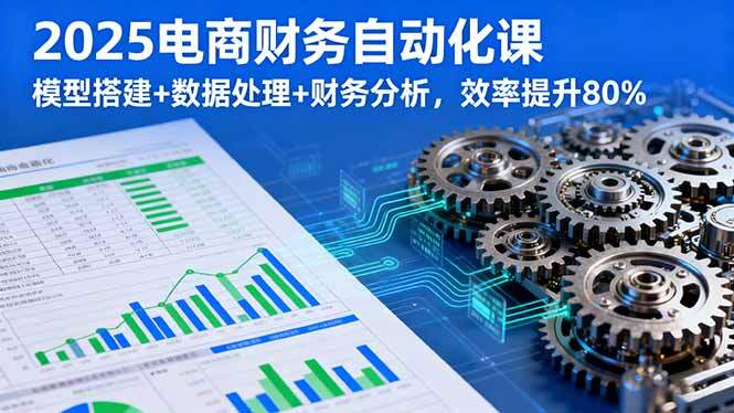 2025电商财务自动化课，模型搭建+数据处理+财务分析，效率提升80%-樱舞小站