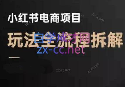 菲菲老师·小红书电商玩法(更新9月)-樱舞小站