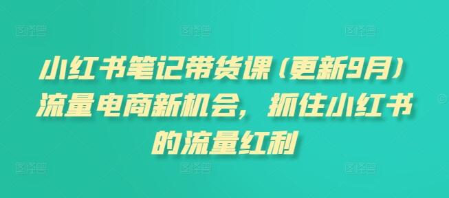 小红书笔记带货课(更新25年9月)流量电商新机会，抓住小红书的流量红利-樱舞小站