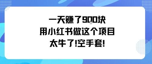 一天挣了9张用小红书做这个项目太牛了，空手套-樱舞小站